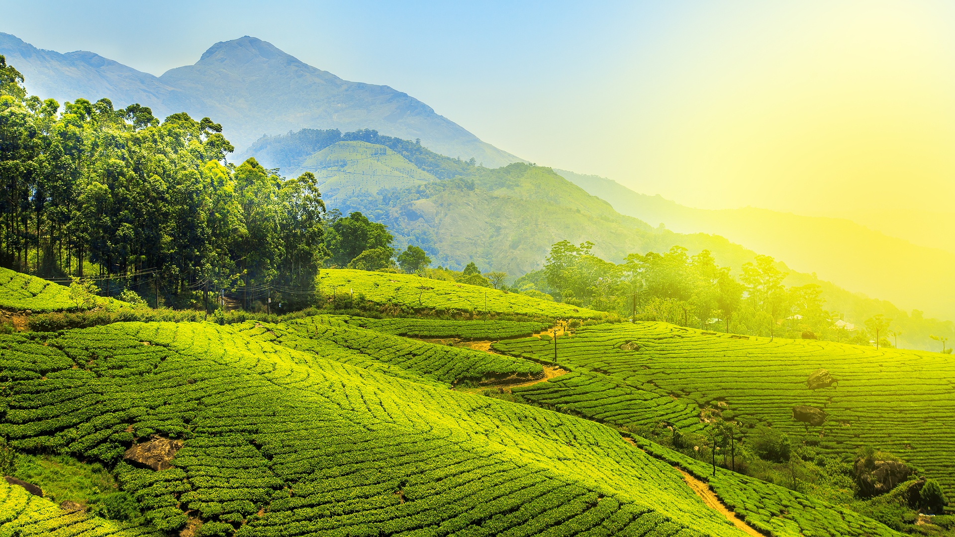 Enchanting Kerala 13 Nights & 14 days