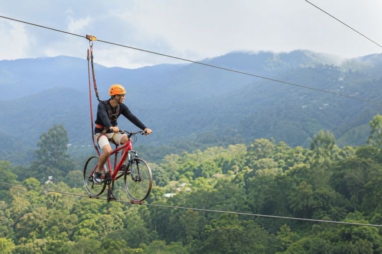 Kerala Wellness, Wildlife & Wonders