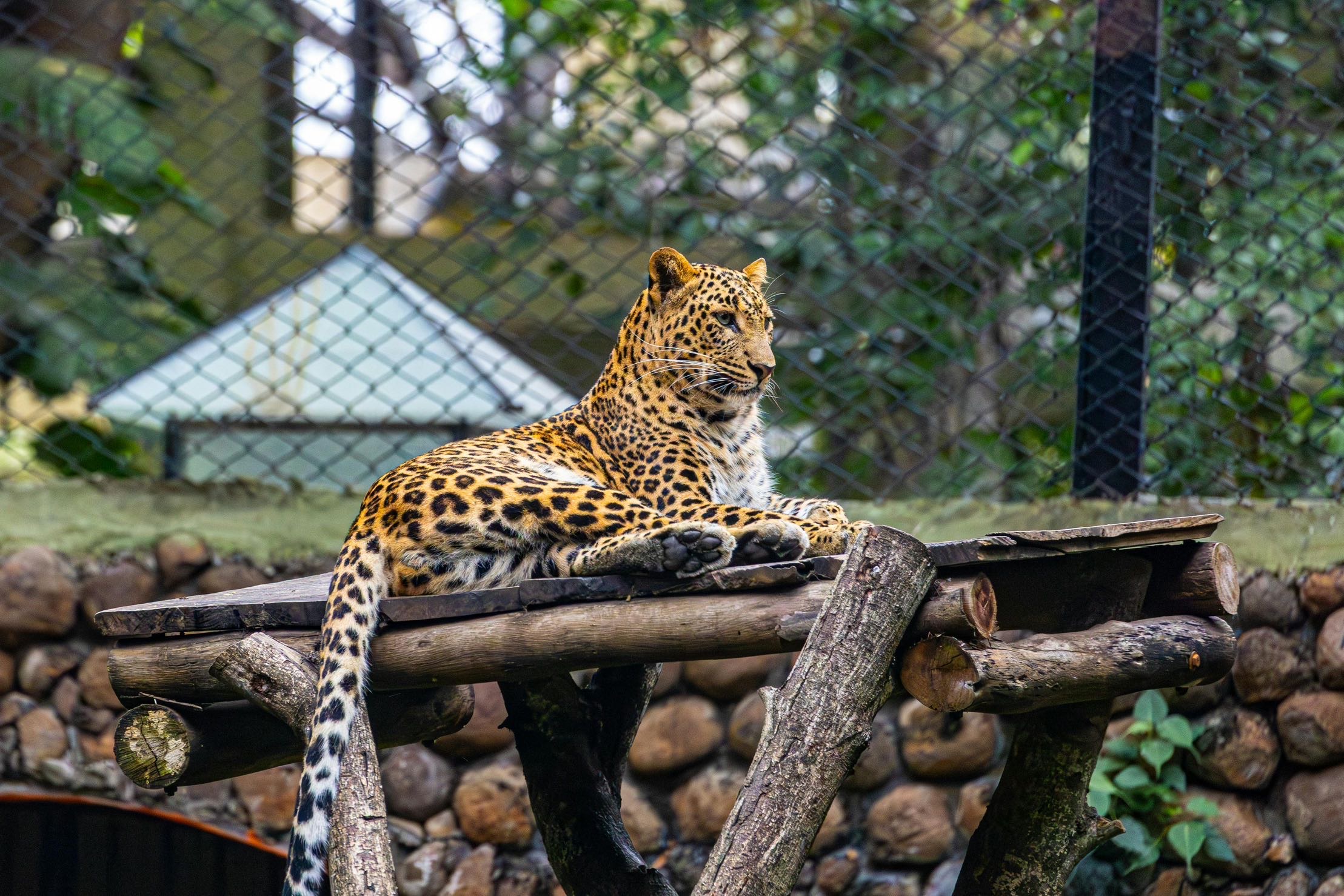 South Kerala package