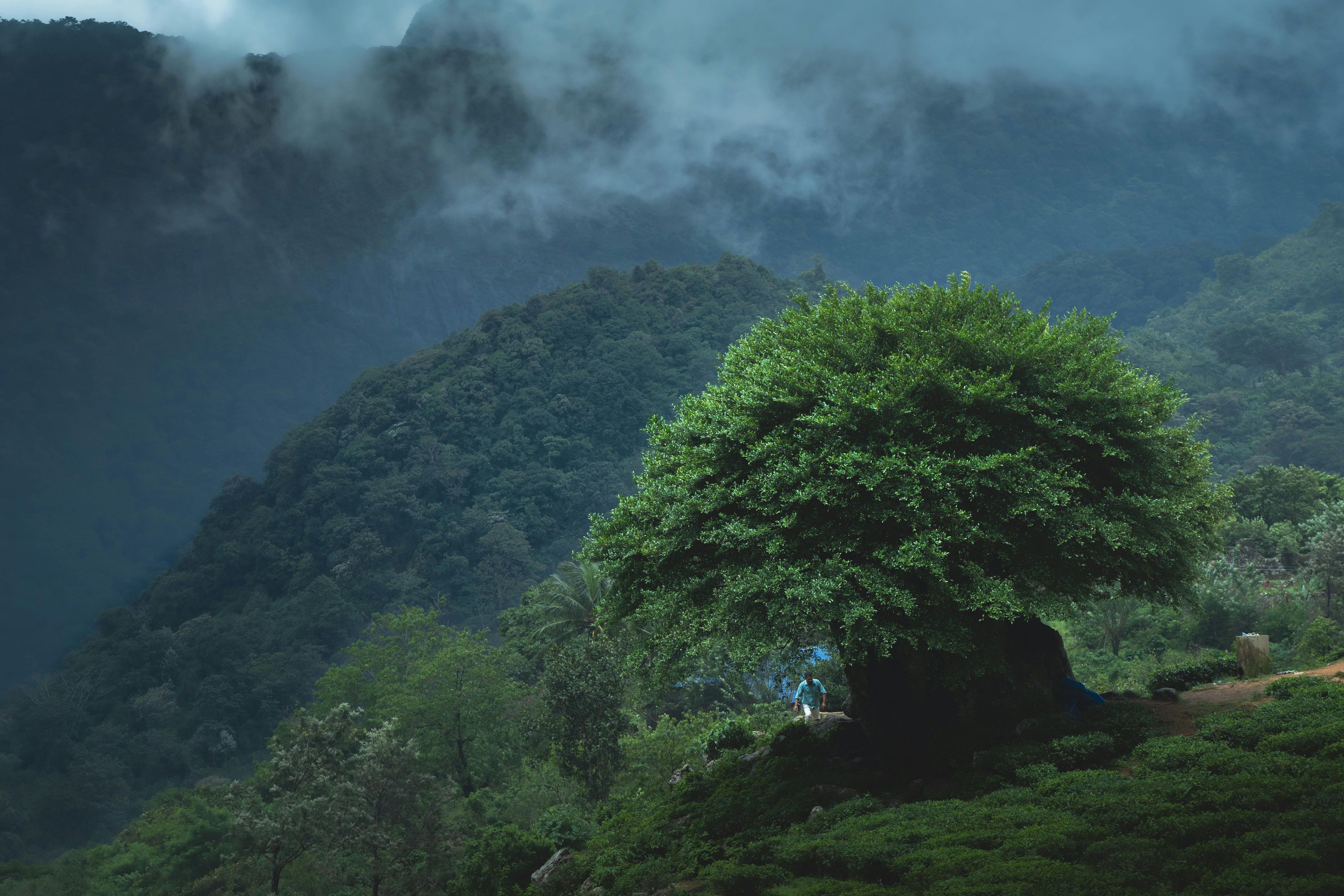 South Kerala package