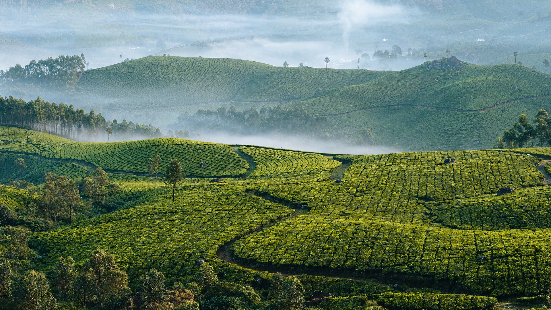 Enchanting Kerala 13 Nights & 14 days