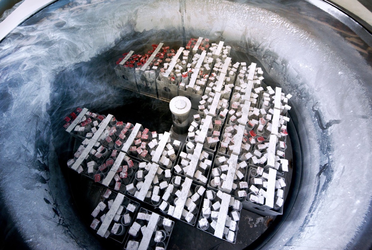 Egg Freezing / Fertility Preservation